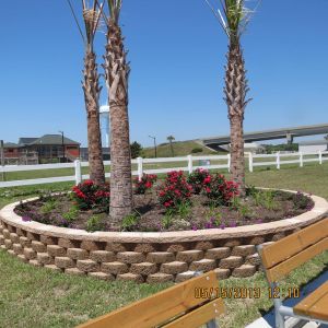 1015400_736916846326104_371012860_o