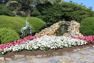 13268583_10206774746076380_6564400430150215299_o