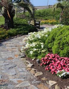 13305106_10206774708395438_3883916742573258230_o