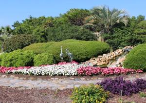 13308179_10206774708155432_576578192159391621_o