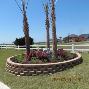 1495415_736893359661786_179838414_o