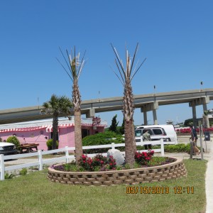 Jordan Blvd. immediatlly after planting palms and roses.