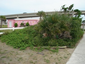 Jordan Blvd. - Before renovation.