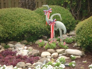 HBBC New Projects 017