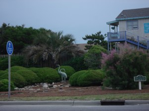 HBBC projects 2011-2012 003