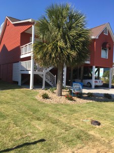 bb8d6cd6-faf0-4bec-9bfa-96438d44667c