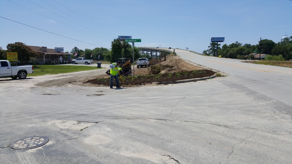 Bridge Proj Lilies 1