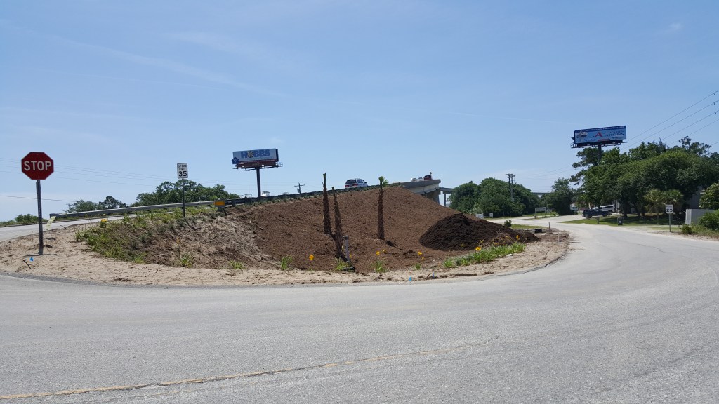 Bridge Proj Lilies 2