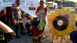 20151030_173805_resized