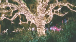 2015-12-11 14.38.11 (2)