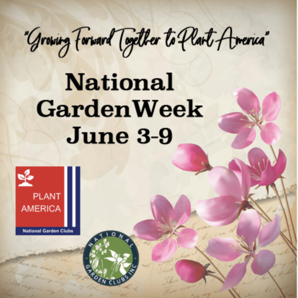 Screen Shot 2018-05-21 at 5.19.28 PM